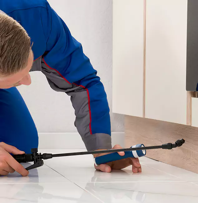 Why Salem Residents Choose Salem Pest Control Pros to Get Rid of Sugar Ants?