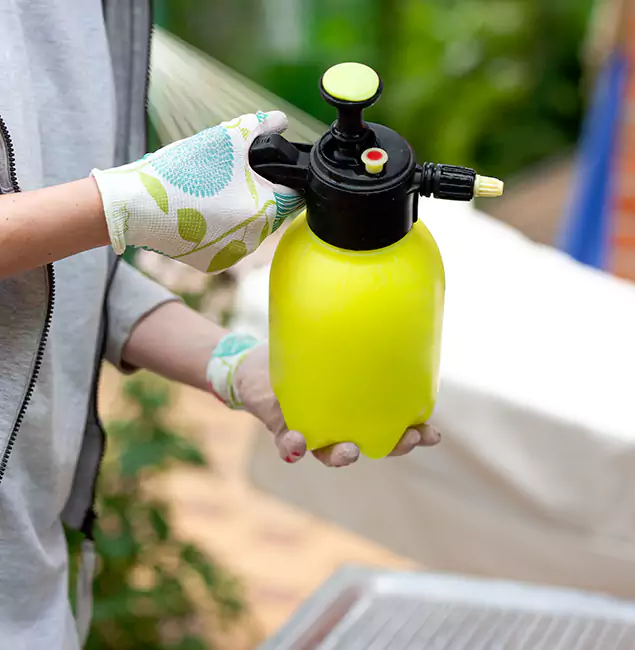Why Choose Us: Salem Pest Control Pros Termite Spraying Experts in Salem, OR?
