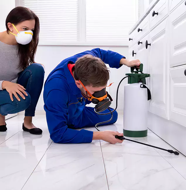 Why Choose Wood Termite Treatment by Salem Pest Control Pros in Salem, OR?
