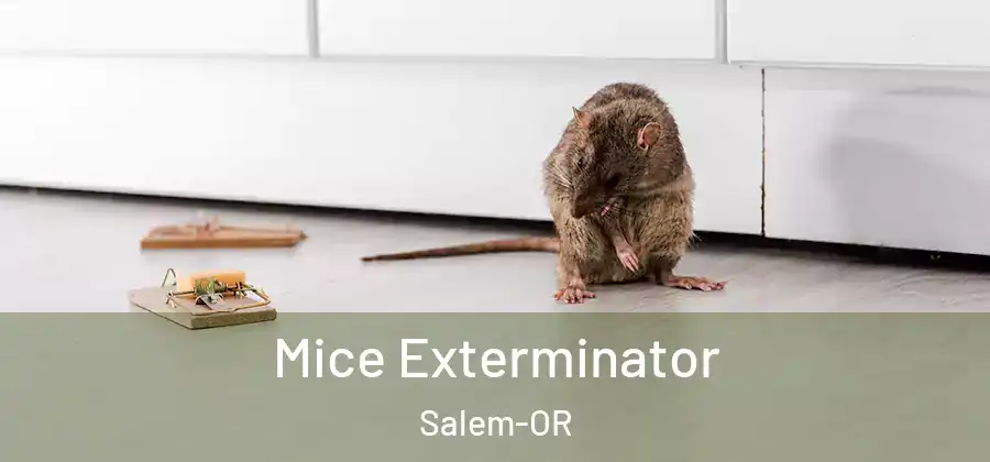  Mice Exterminator Salem-OR
