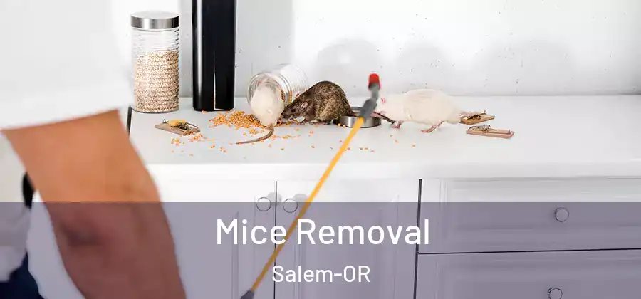 Mice Removal Salem-OR