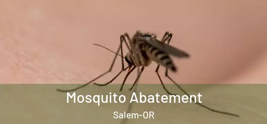 Mosquito Abatement Salem-OR
