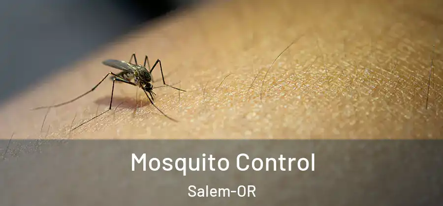 Mosquito Control Salem-OR