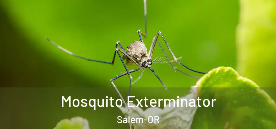 Mosquito Exterminator Salem-OR