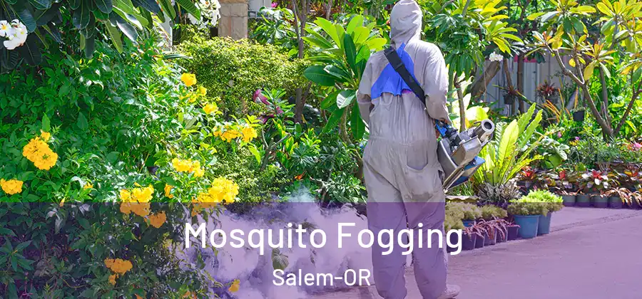Mosquito Fogging Salem-OR