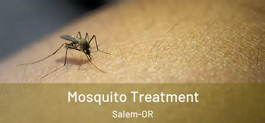 Mosquito Treatment Salem-OR