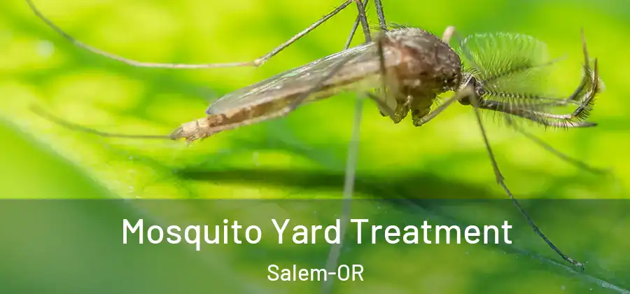 Mosquito Yard Treatment Salem-OR