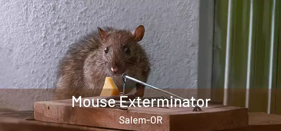 Mouse Exterminator Salem-OR