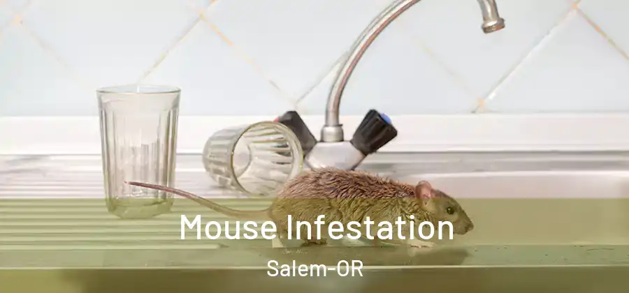 Mouse Infestation Salem-OR