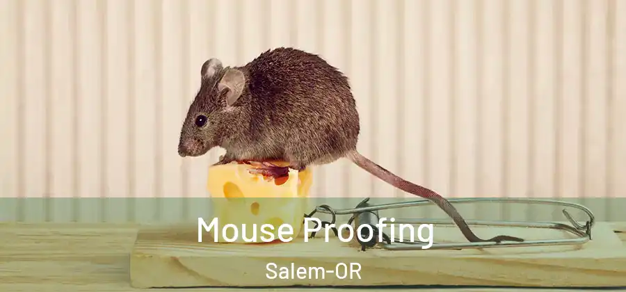 Mouse Proofing Salem-OR