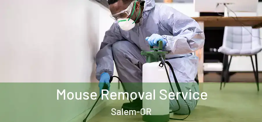 Mouse Removal Service Salem-OR