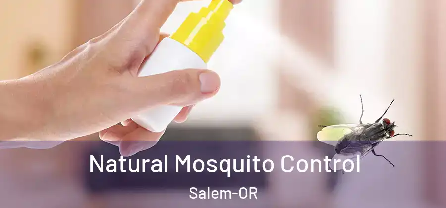 Natural Mosquito Control Salem-OR