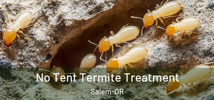  No Tent Termite Treatment Salem-OR