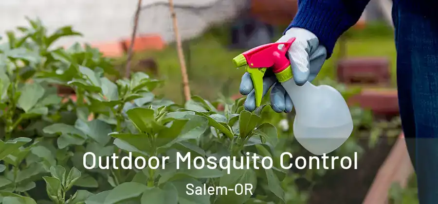 Outdoor Mosquito Control Salem-OR