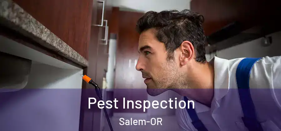 Pest Inspection Salem-OR