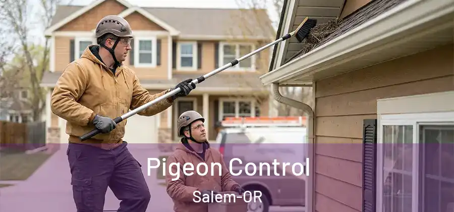Pigeon Control Salem-OR