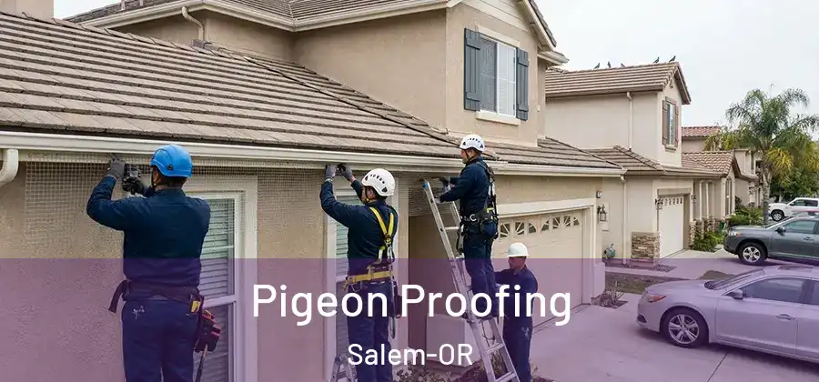  Pigeon Proofing Salem-OR