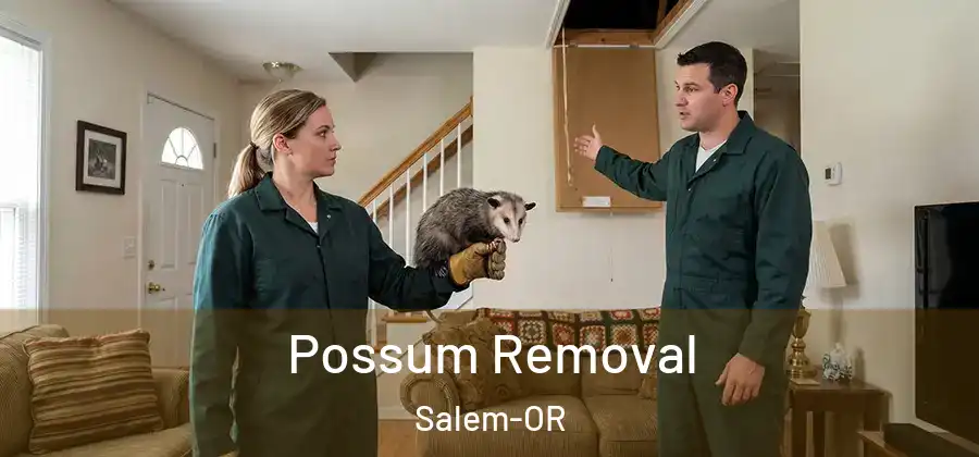 Possum Removal Salem-OR