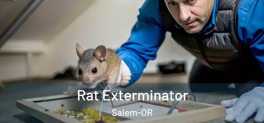 Rat Exterminator Salem-OR