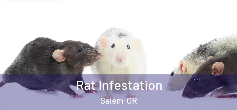  Rat Infestation Salem-OR