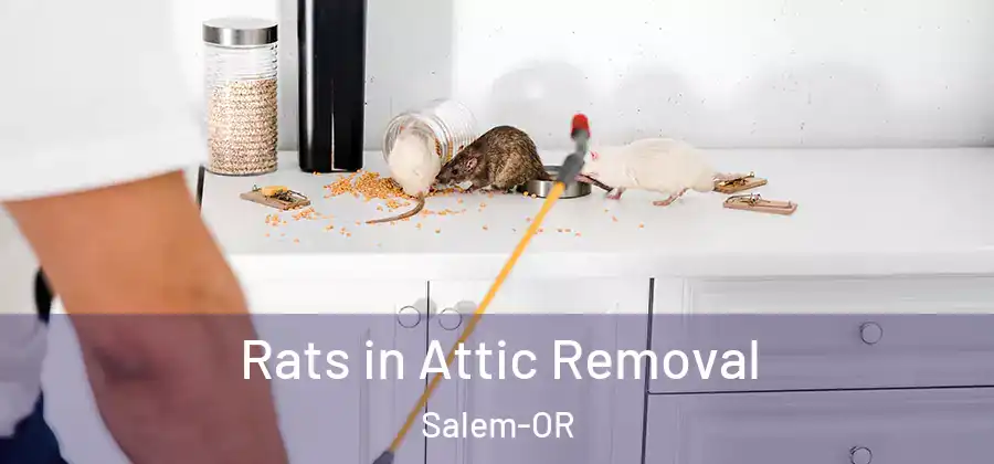 Rats in Attic Removal Salem-OR