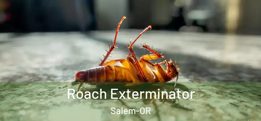 Roach Exterminator Salem-OR