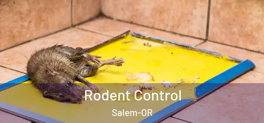 Rodent Control Salem-OR