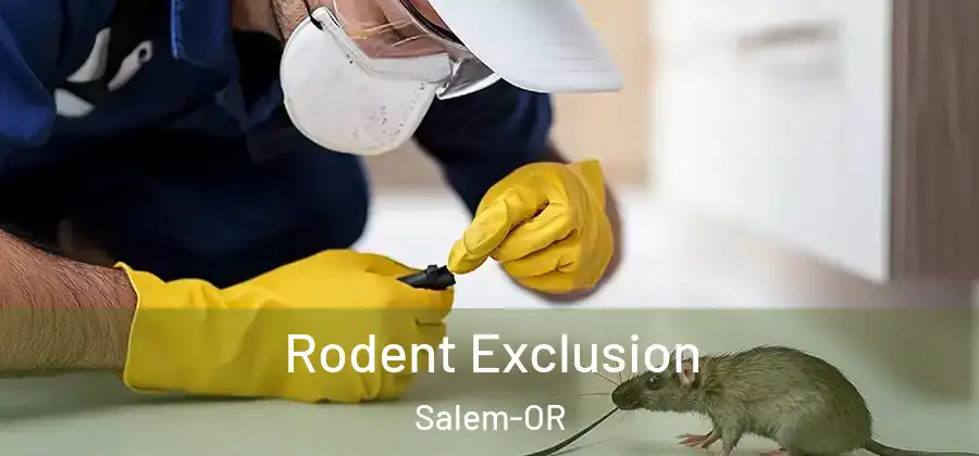 Rodent Exclusion Salem-OR