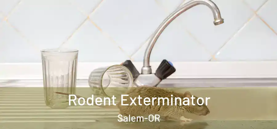 Rodent Exterminator Salem-OR