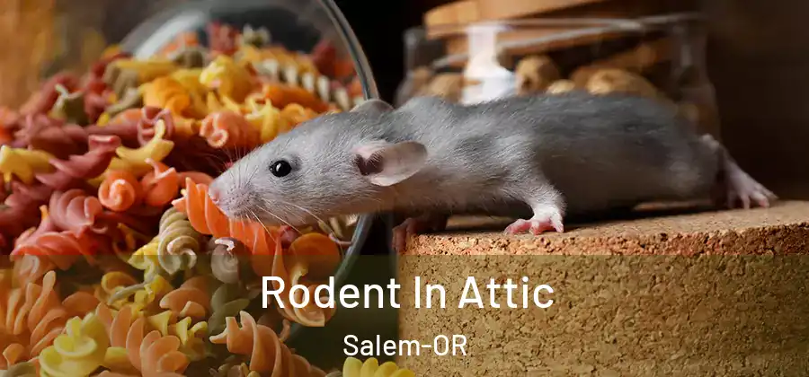 Rodent In Attic Salem-OR