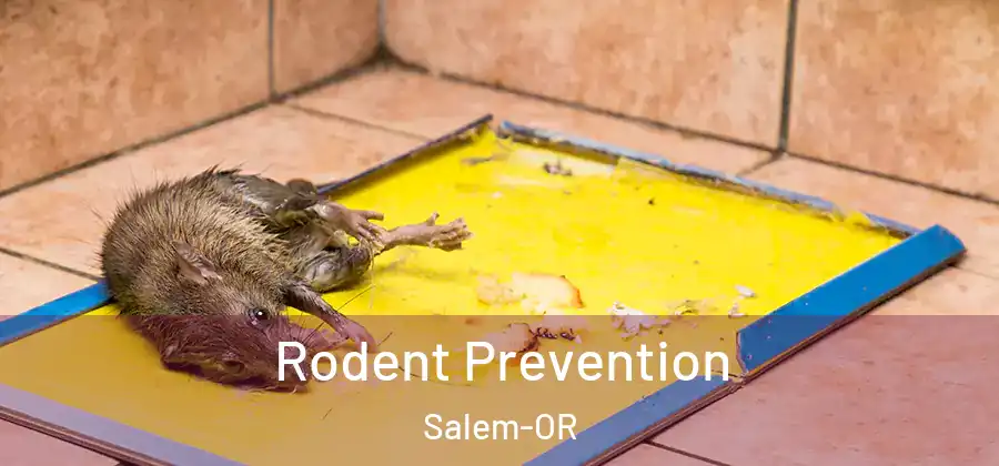  Rodent Prevention Salem-OR