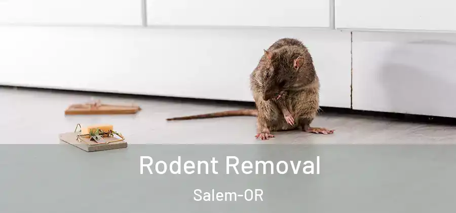 Rodent Removal Salem-OR