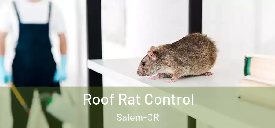 Roof Rat Control Salem-OR