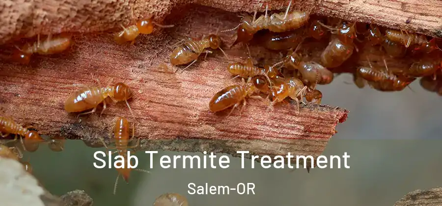 Slab Termite Treatment Salem-OR