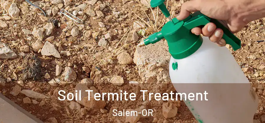Soil Termite Treatment Salem-OR