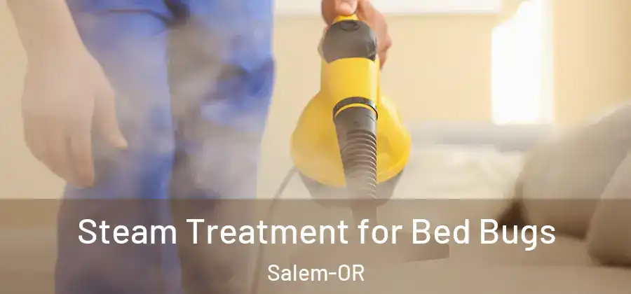 Steam Treatment for Bed Bugs Salem-OR
