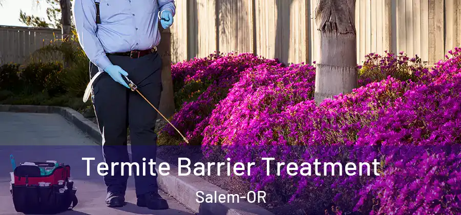 Termite Barrier Treatment Salem-OR