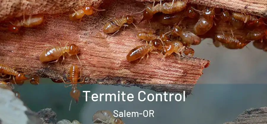 Termite Control Salem-OR