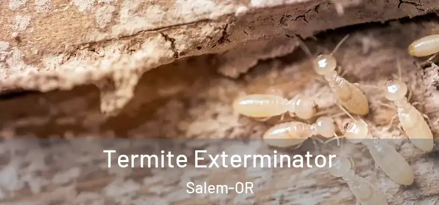Termite Exterminator Salem-OR