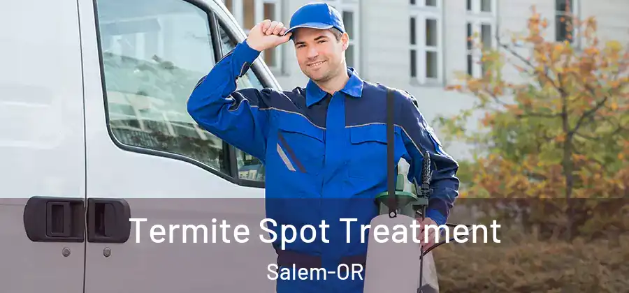 Termite Spot Treatment Salem-OR