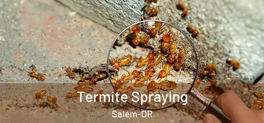 Termite Spraying Salem-OR