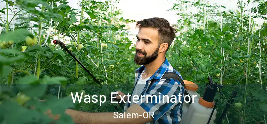  Wasp Exterminator Salem-OR