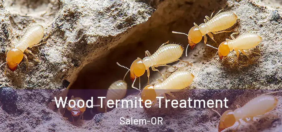 Wood Termite Treatment Salem-OR