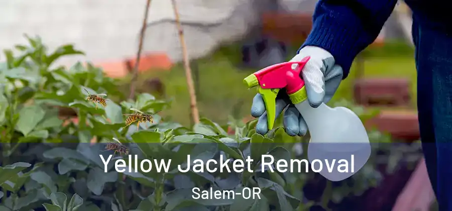 Yellow Jacket Removal Salem-OR